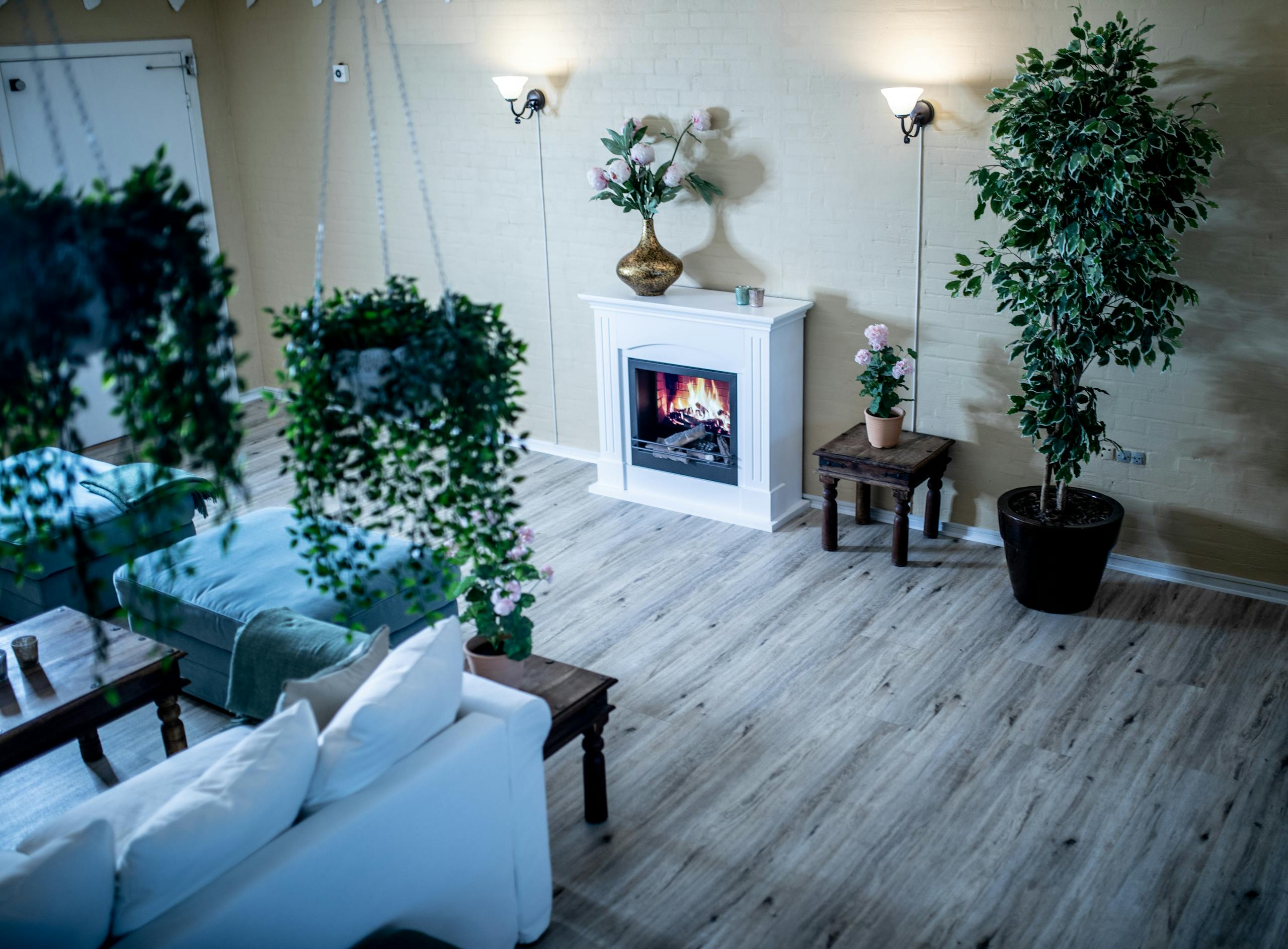 From above of interior of modern lounge with fireplace and various houseplants in flowerpots